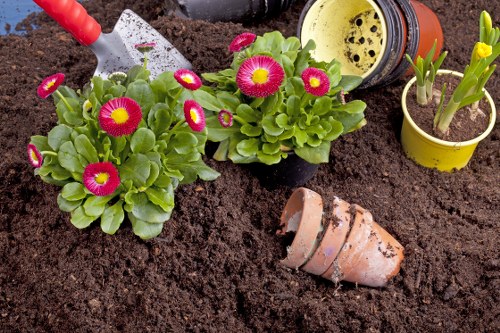 Person reviewing a gardening complaint with notes
