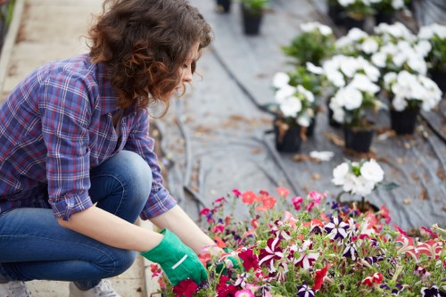Landscape gardening in Hatch End with a stylish patio and planting