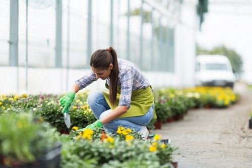 Hatch End gardening services supporting healthy plants in summer