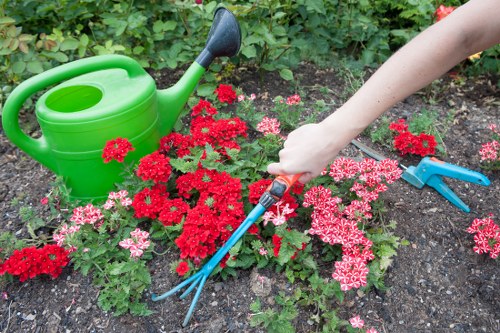 Accessibility support message for Hatch End gardening visitors