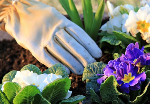 Professional gardeners in Hatch End following safety procedures