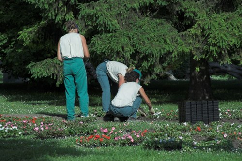 Garden hedge maintenance and pruning in Hatch End