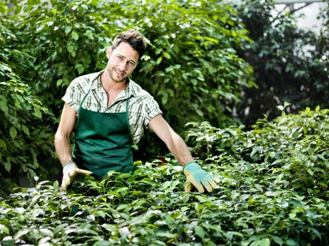 Training and supervision for gardeners