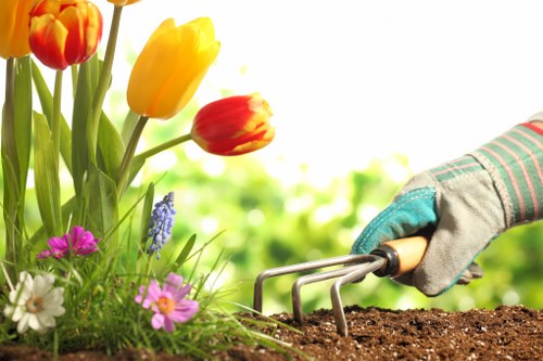 Hatch End garden lawn maintenance with mowing and seasonal turf treatment
