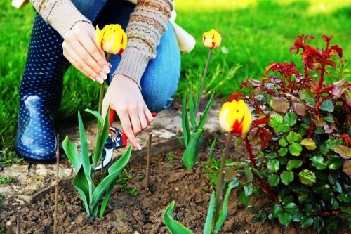 Garden clearance and tidy-up services in Hatch End