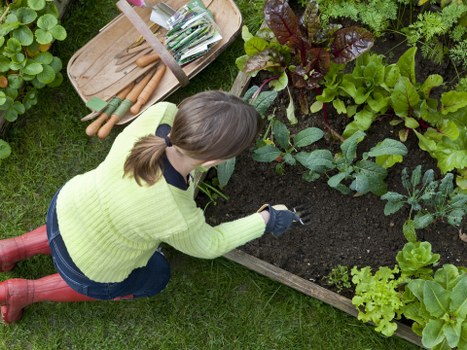 Professional garden clearance in Hatch End clearing branches and debris