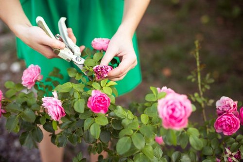 Final review of a garden services complaints procedure