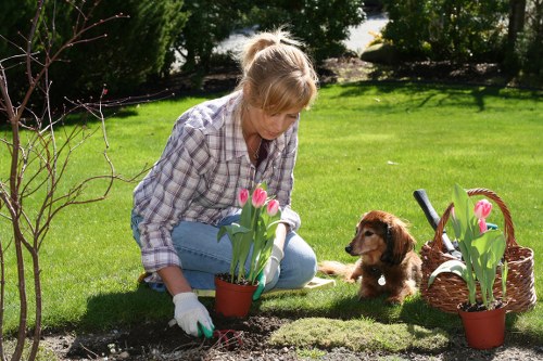 Hedge trimming and planting care for Hatch End properties