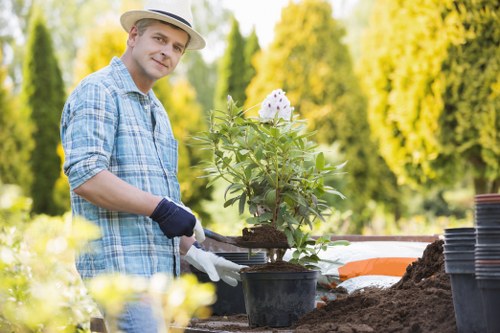 Professional garden care in Hatch End with seasonal maintenance