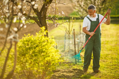 Pressure washing and treatment for patio cleaning in Hatch End