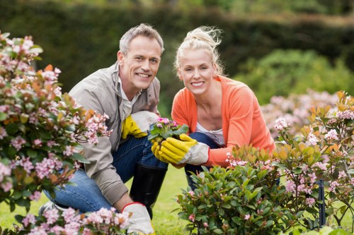 Safe and insured Gardeners Hatch End service for outdoor maintenance